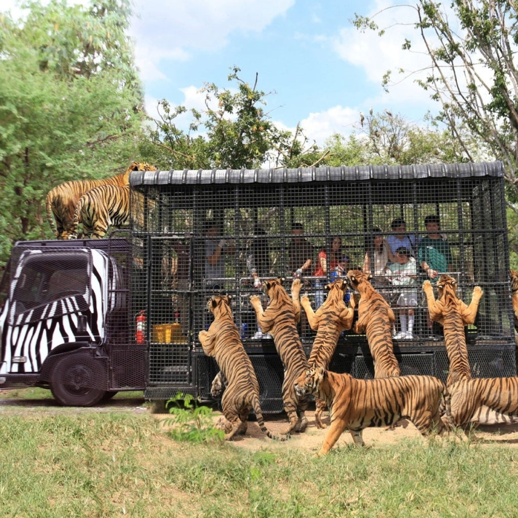 3D2N Kanchanaburi Countryside Discovery (Depart Bangkok) [Private]